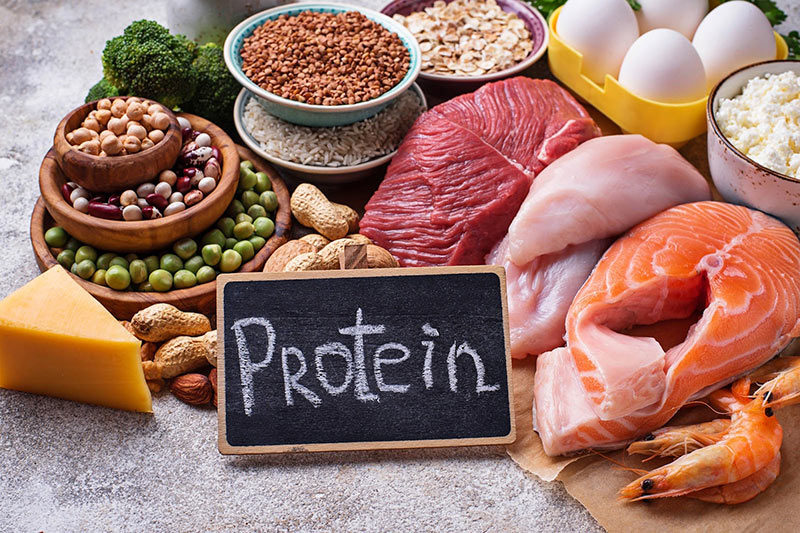 Xây dựng chế độ ăn giàu protein