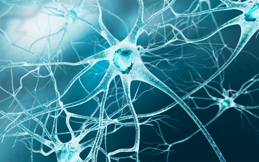 Virus là một trong những nguyên nhân gây liệt dây thần kinh số 7